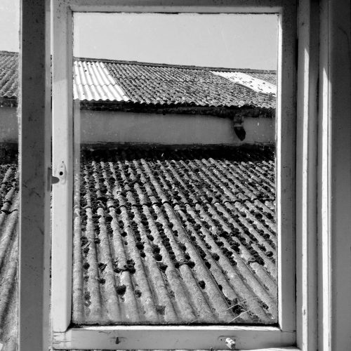 Room with a view